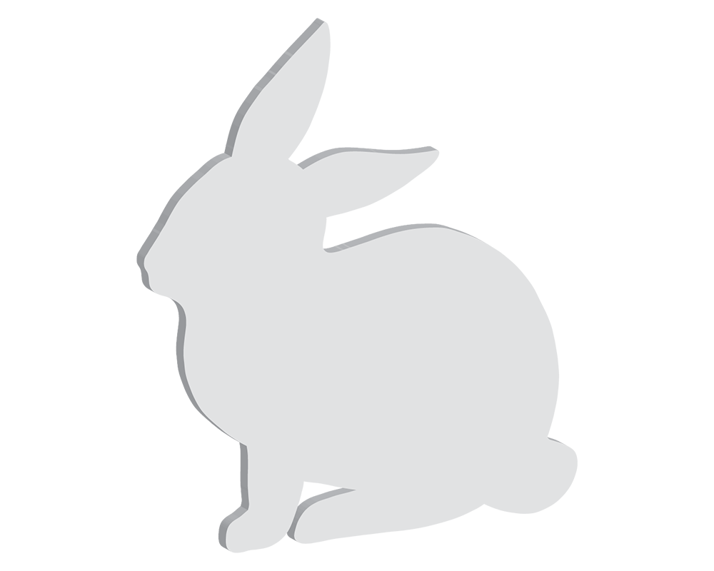 Bunny Shape