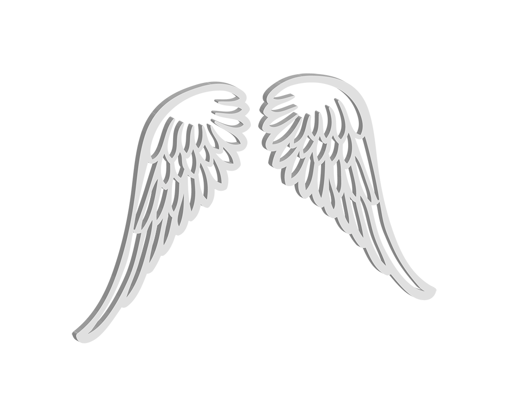 Acrylic Wings (Pair)